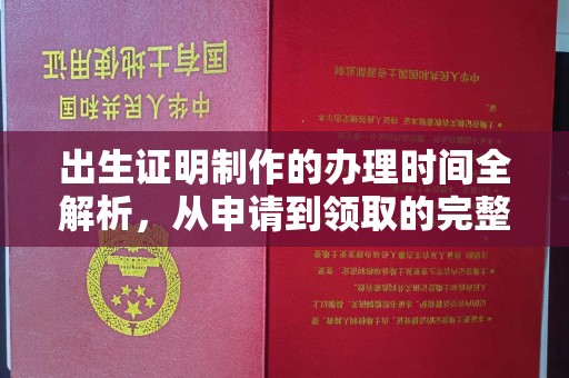 靖西出生证明制作的办理时间全解析，从申请到领取的完整指南